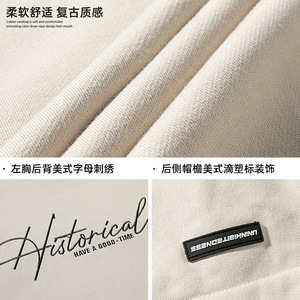 刺绣套头卫衣女秋冬新款潮牌情侣帽衫宽松外套L3838-P51控88图片