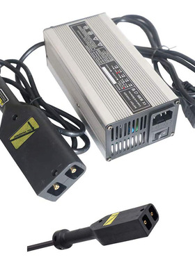 EZGO TXT PDS高尔夫球车 48V5A铅酸电池充电器 73345-G01 D型插头