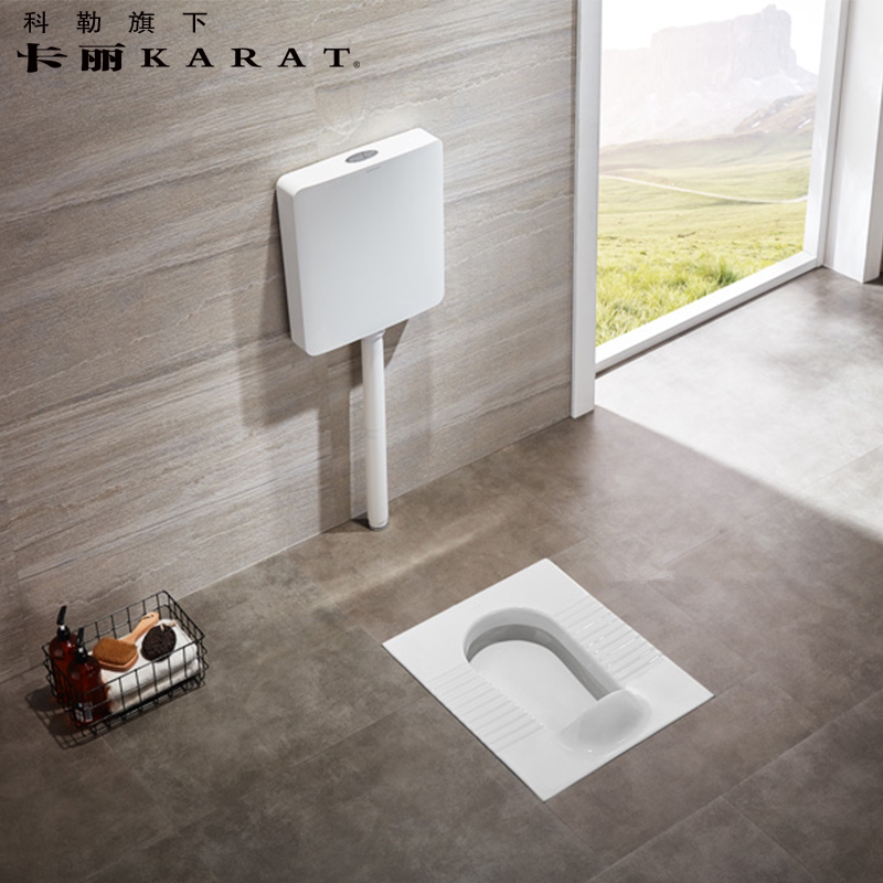 科勒卡丽卫浴美乐双冲入墙式隐藏蹲便器蹲坑蹲厕水箱无框架