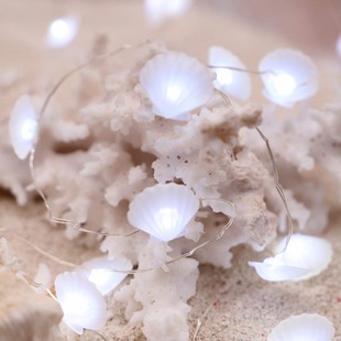 LED彩灯珍珠灯贝壳铜线灯串海底海螺橱窗卧室缠绕氛围装 饰小夜灯