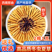 西藏虫草野生正品 那曲冬虫夏草头茬新鲜干草10g 20根官方旗舰店