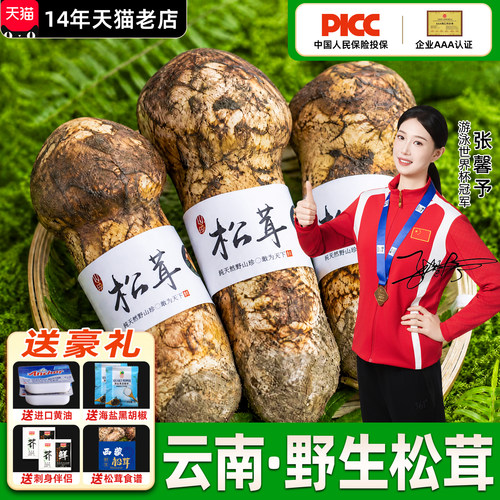 野生新鲜松茸顺丰速发