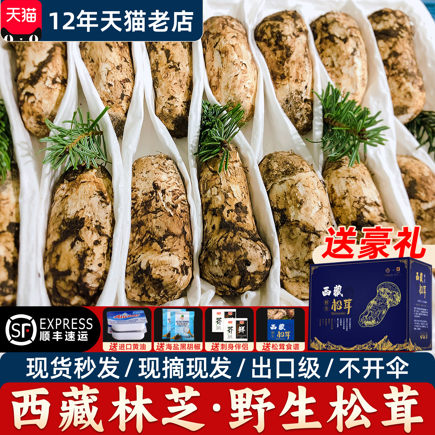3~5cm】西藏林芝新鲜野生松茸
