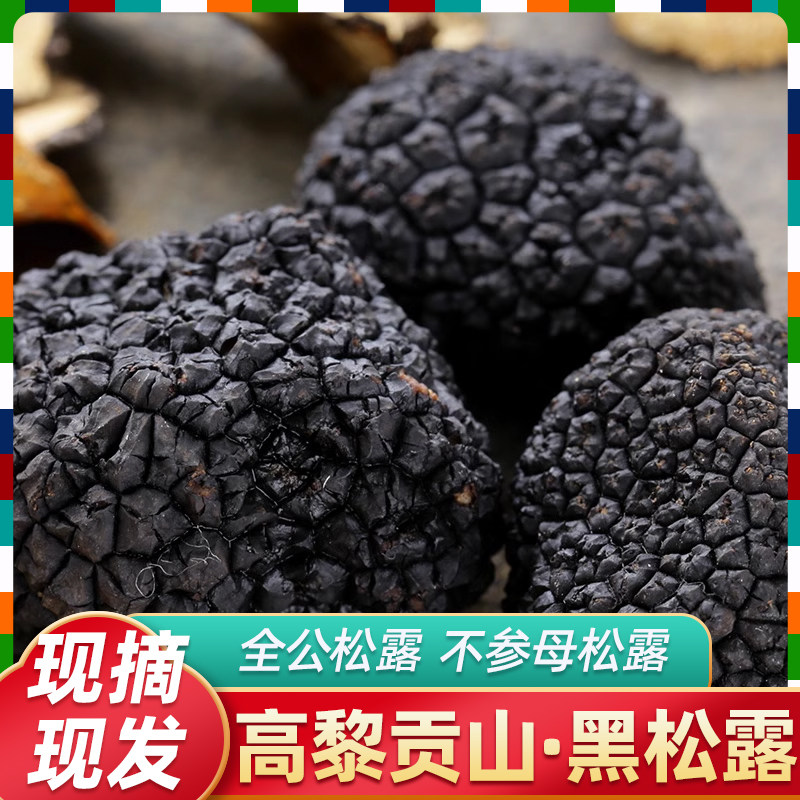 黑松露新鲜野生松露500g黑白高黎