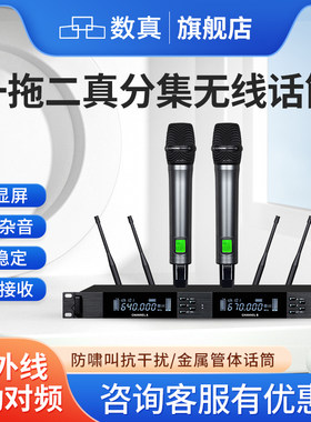 数真会议麦克风一拖二真分集无线