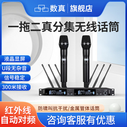 数真无线麦克风一拖二真分集