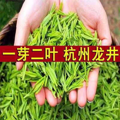 2023新茶一芽二叶龙井茶叶250g正宗杭州雨前茶绿茶散装浓香型