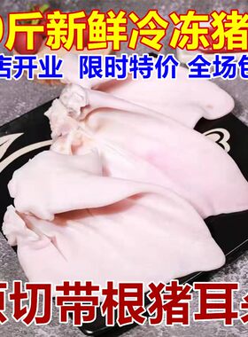 10斤新鲜无毛土猪猪耳片