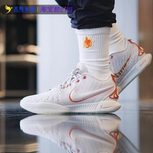 Nike/耐克勒布朗詹姆斯21代男子运动训练实战篮球鞋FV2346-001