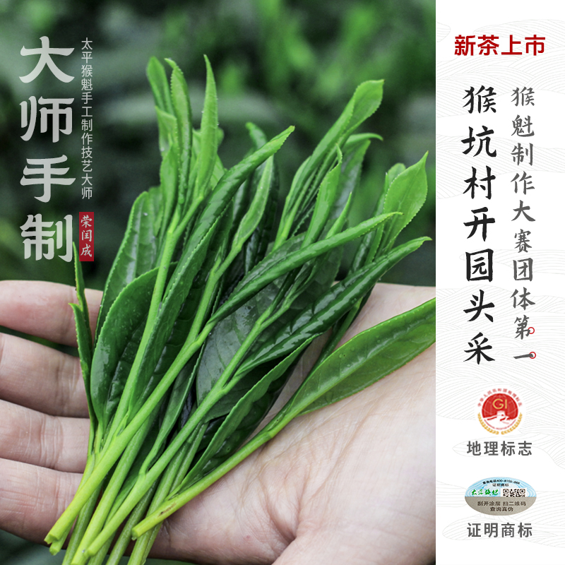 2025新茶上市核心猴坑村太平猴魁