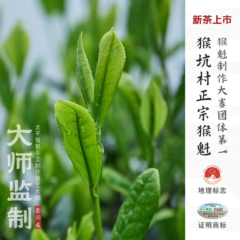 2025新茶上市猴坑村手工捏尖猴魁