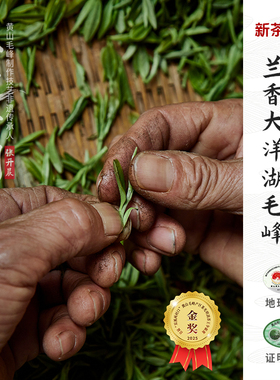2026新茶上市黄山毛峰茶叶特级绿茶手工特级一等头采兰香大洋湖