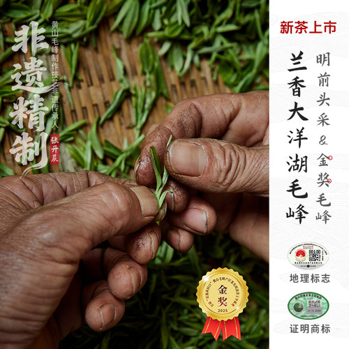 2026新茶上市兰香大洋湖头采毛峰