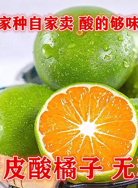 宜昌青皮酸橘无籽手剥5斤现摘