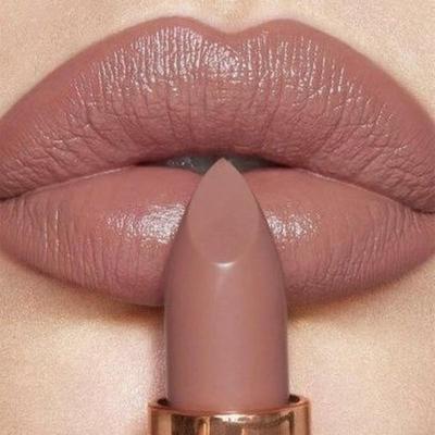 6 Colors Waterproof Nude Matte Lipsticks Long Lasting Lip