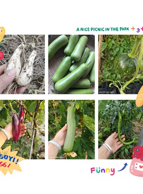 农家露天农产品新鲜混装蔬菜