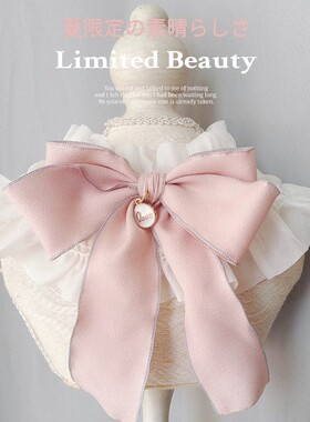 ins宠物猫咪狗狗口水巾大蝴蝶结围兜围脖大小中型犬围巾造型饰品