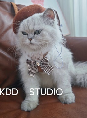 宠物猫咪狗狗牵引绳秋冬胸背带背心式防挣脱猫绳子中小型犬外出