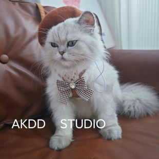 宠物猫咪狗狗牵引绳秋冬胸背带背心式防挣脱猫绳子中小型犬外出