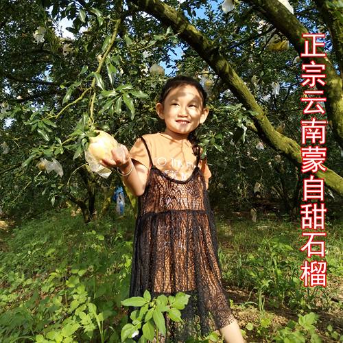 十年老店小杨家薄皮蒙自石榴