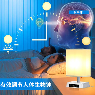 模拟日出床头灯卧室自然唤醒护眼台灯带白噪音助眠小夜灯睡眠革命