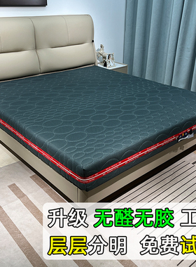 德国6D空气纤维床垫无胶水洗3D环保零甲醛儿童榻榻米可定制2.2米m