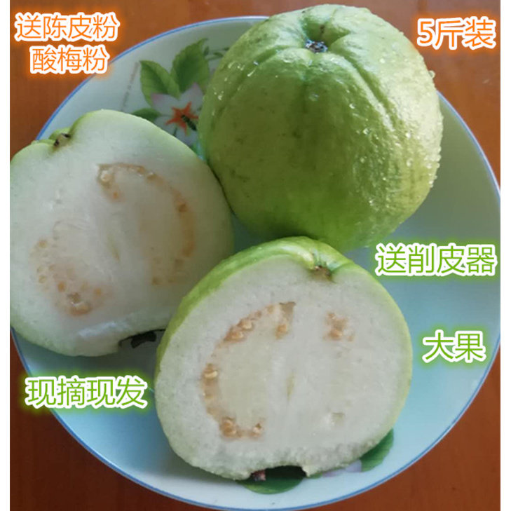 广东特产现摘现发芭乐白心蕃石榴自家果园直发