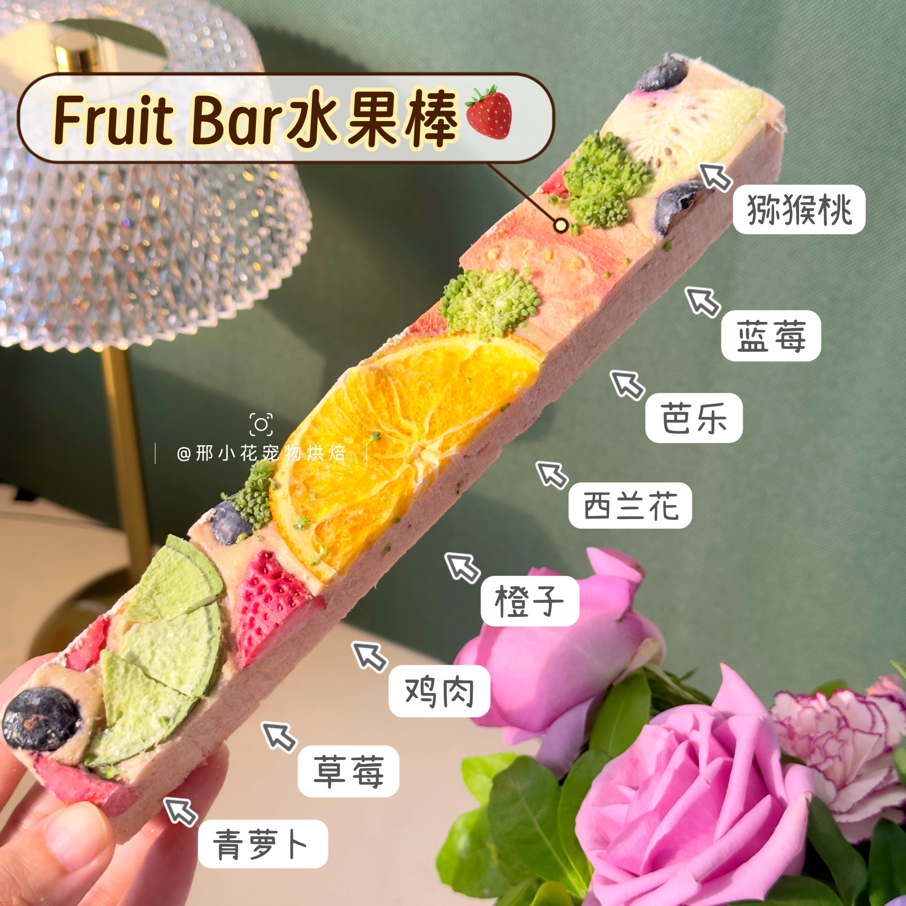 自制FruitBar水果棒宠物冻干鸡肉底橙子蓝莓犬猫通用日常配餐零食