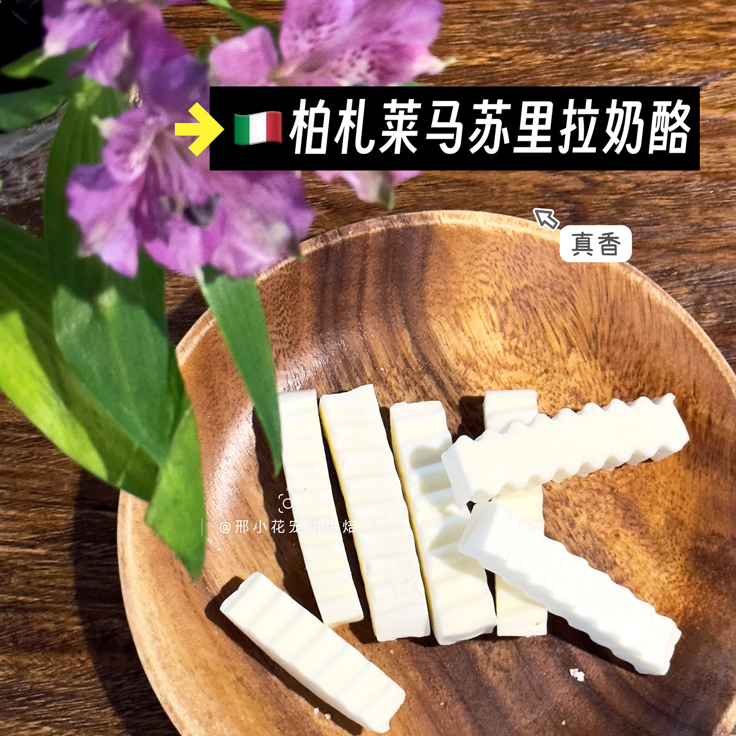 进口柏札莱马苏里拉宠物奶酪猫咪狗零食美毛补钙调理肠胃增肥发腮