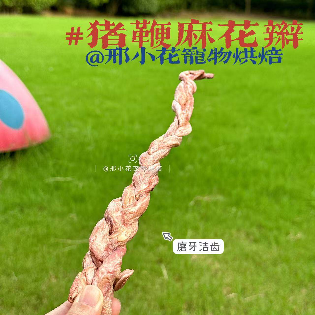 宠物烘焙猪鞭麻花辫冻干狗狗零食