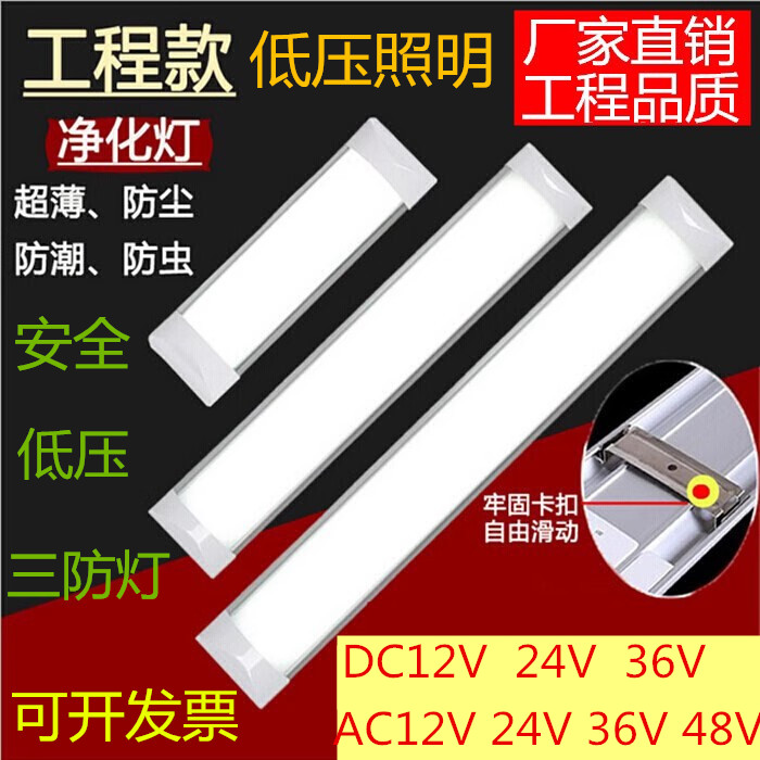 净化灯DC12V24VAC36V-60V