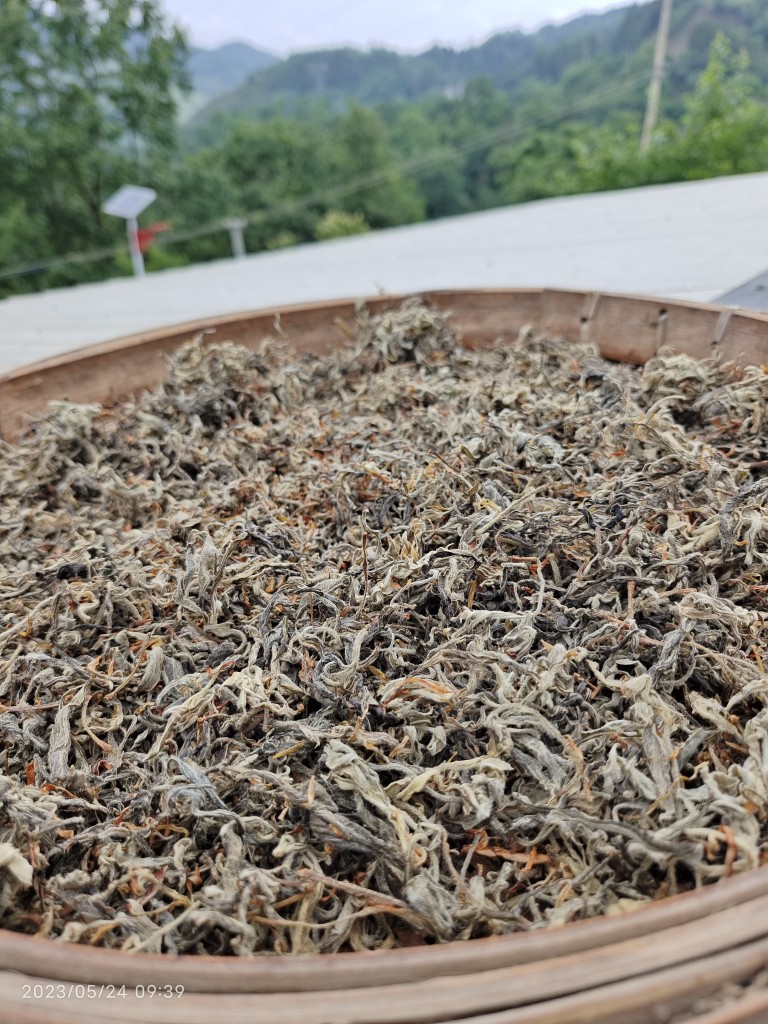 贵州老鹰茶特产野生四川散装茶叶重庆手工老荫茶2026优质新茶包邮