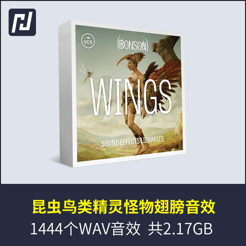 稀有翅膀声音效素材鸟类昆虫蚊子苍蝇怪物精灵翅膀扇动震颤的声音