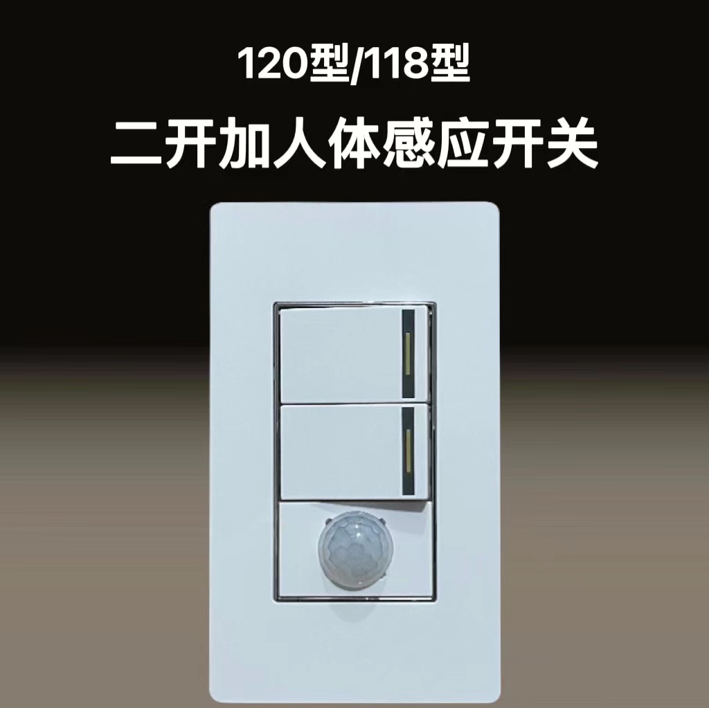 118型/120型二开加人体感应开关感应自带光控白天不启动功率50W