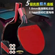 6星乒乓球拍六星专业训练级学生考试初学双面反胶单双拍1 2支正品