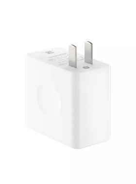 Smartisan 55W 快速充电器（Type-C） DP55C