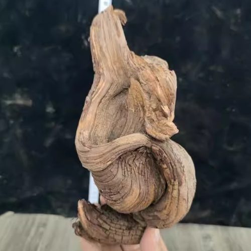 山西太行崖柏原木雕刻工艺品根雕