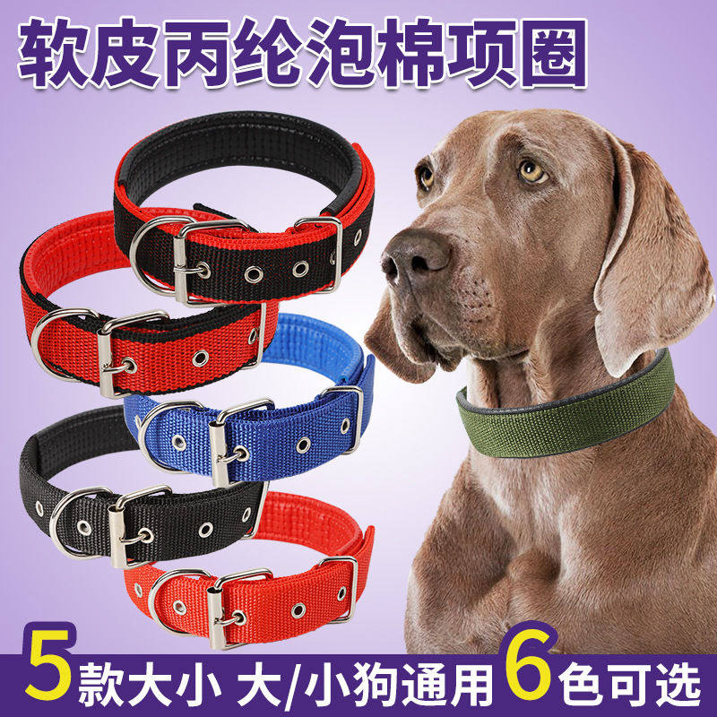 泡棉狗项圈不勒脖子小狗泰迪雪纳瑞中型犬边牧柯基宠物用品狗脖圈