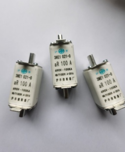 熔断器保险芯690V 100A 021 3NE1