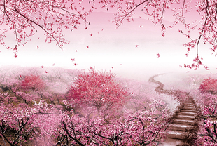 木质拼图300/500/1000片大型成年人减压儿童益智拼块玩具十里桃花