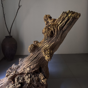 风化木枯木摆件侘寂风艺术空间装饰老木头朽木装饰造景枯木26128
