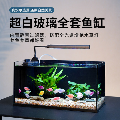 2026新款50尺寸超白玻璃生态缸