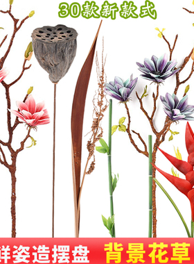 刺身点缀盘饰仿真金钱树叶海鲜姿造摆盘装饰摆件背景花草全套高端