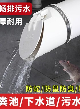 160/50/75/110管道止逆阀PVC排水管下水道止回阀防反水排污管防臭