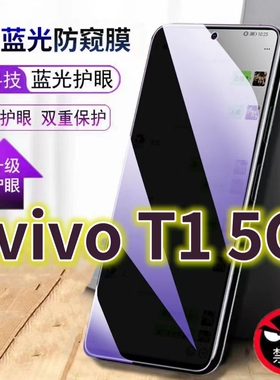 适用vivoT15G蓝光防窥膜V2115A黑边钢化膜t1x手机膜防偷窥看V2143A全屏防摔护眼保护膜T1X5G防爆防盗隐私玻璃