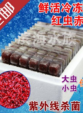 天津岳氏旺族冷冻红虫观赏鱼饲料