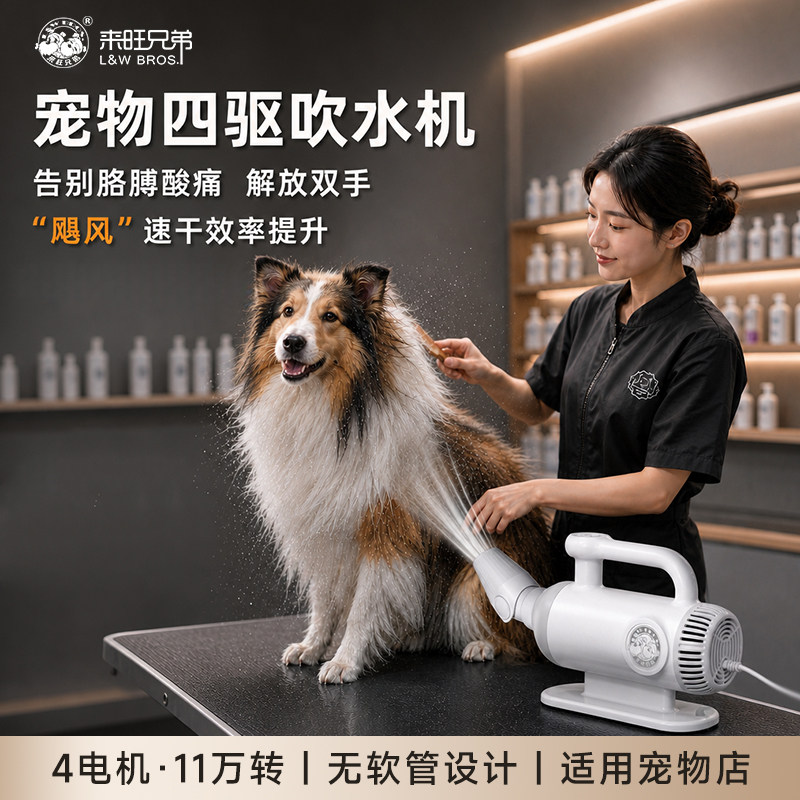 来旺兄弟宠物吹水机宠物店专用大功率吹风机狗狗洗澡吹毛烘干神器
