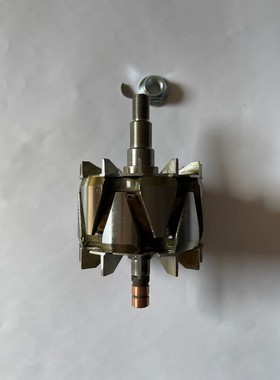 发电机转子适用于宇通客车配件佩特来AVI147D3002 AVI168S3002