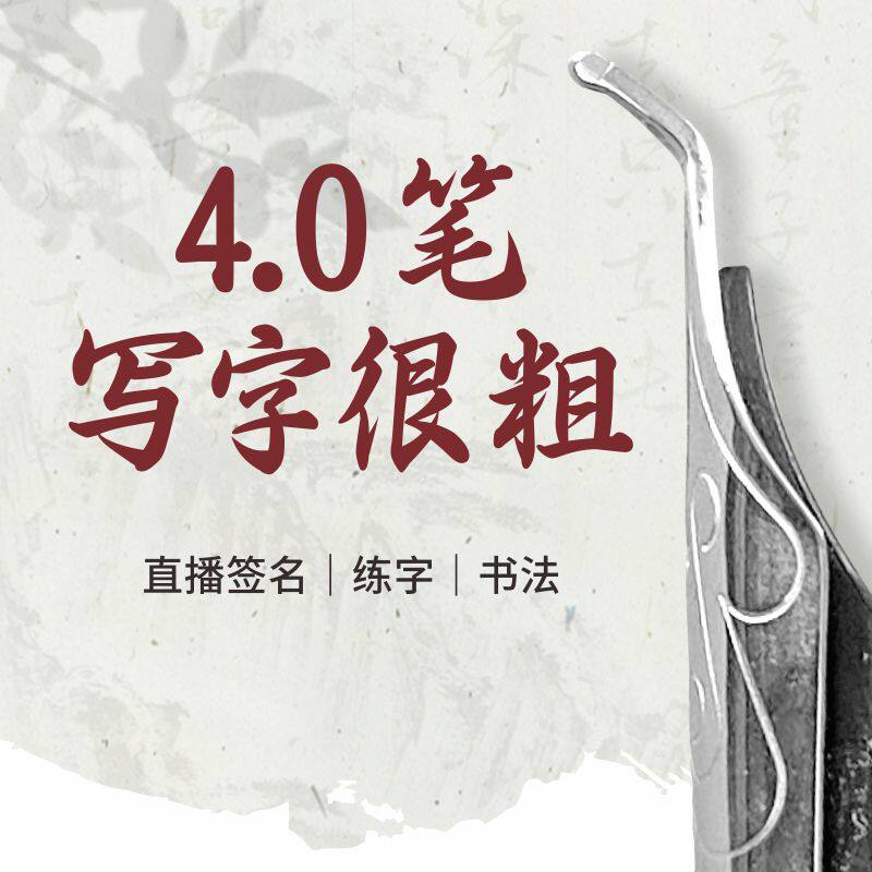 粗4.0笔弯头美工钢笔硬笔书法练字艺术签名直播间签名吸墨可替换