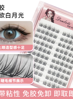 胶水款纯欲白月光眼睫毛苏妲己分段式小野兔假睫毛单簇初学高品质